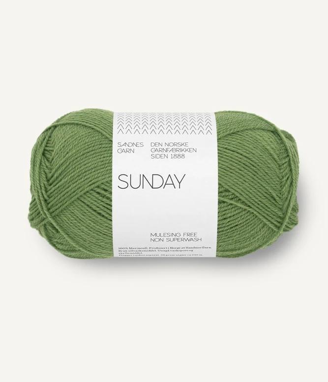 Sunday- 8753 Vineyard Green